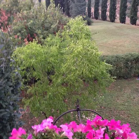 Apartment Old Stonehouse Montepulciano Con Piscina *
